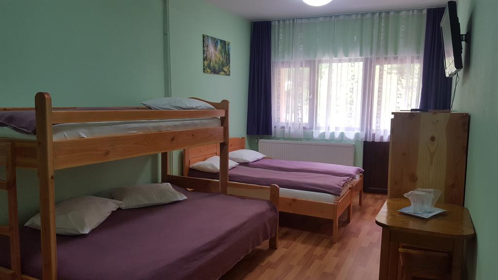 Pensiunea Aurora - Great Hostel Voineasa Esterno foto